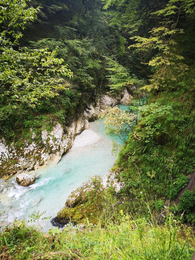 Apartma Tija Apartment Tolmin Bagian luar foto